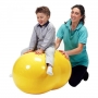 توپ استوانه ای تمرینی جیمنیک Physio Roll